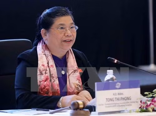 越南国会副主席丛氏放主持亚太地区合作与发展问题全体会议。 （图片来源：越通社）