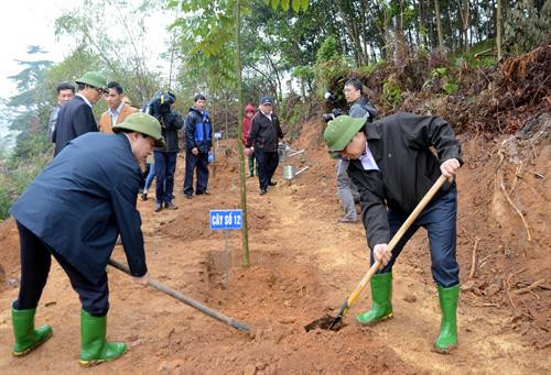 范明正和各位代表在安山县中门乡参加了植树节活动。图自越通社