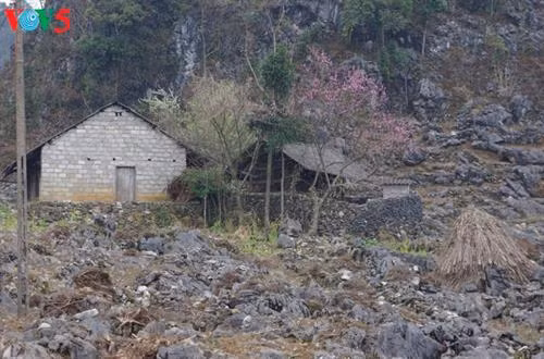 河江省少数民族村寨。（图片来源：越南之声）