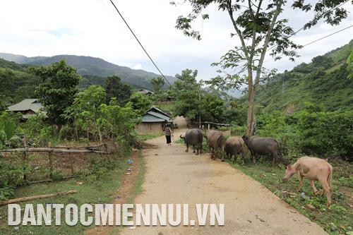 南润县特别关注基础设施投资工作，让莽族人放心发展生产，稳定生活。图： 安成达