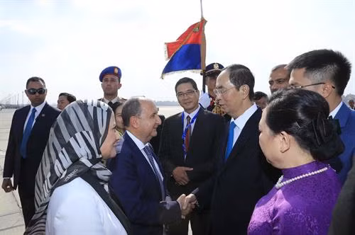 当地时间8月25日下午，越南国家主席陈大光抵达卢克索市机场，开始对埃及进行国事访问 图自越通社