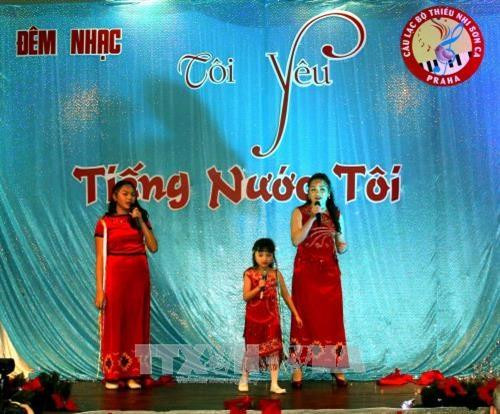“我爱我国母语”音乐会的表演节目。（图片来源：越通社）