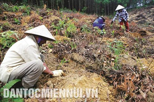 承天顺化省被评为生活多样性强的地方之一。
