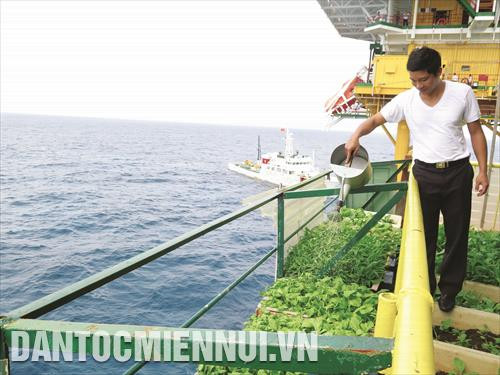 DK1-8高脚湖上一位战士正给蔬菜灌水。