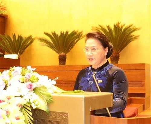 越南国会主席阮氏金银在会上发表讲话。（图片来源：越通社）