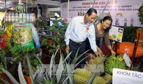 2017年坚江省农业与渔业节上的展位。(图片来源:越通社) 2017年坚江省农业与渔业节上的展位。(图片来源:越通社)