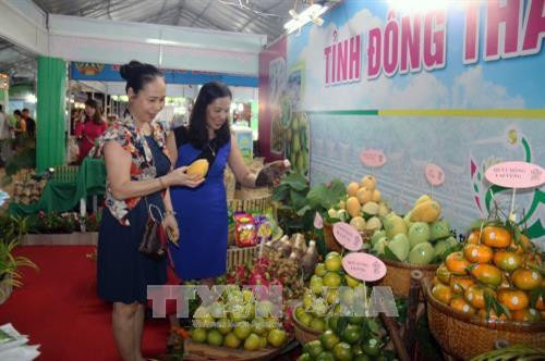 2017年坚江省农业与渔业节上的展位。(图片来源:越通社) 2017年坚江省农业与渔业节上的展位。(图片来源:越通社)