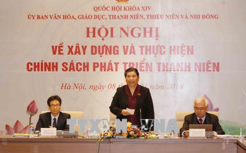 国会常务副主席丛氏放发表讲话（图片来源：越通社）