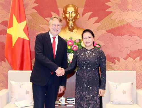 越南国会主席阮氏金银会见 欧洲议会国际贸易委员会主席博纳德·朗耶。(图片来源：越通社)