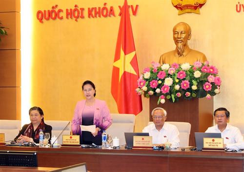 越南国会主席阮氏金银在会议上发表结论性讲话。越通社记者 仲德 摄