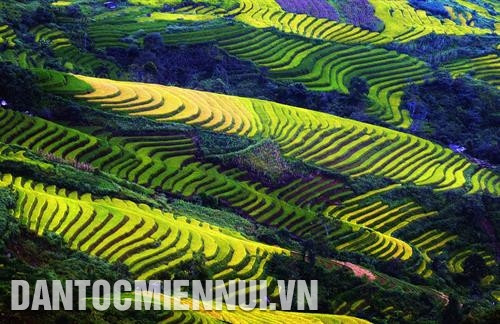 北 方 地区原始的自然美景及其诗情画意使 山 萝省木州高原成为旅游迷的一个熟悉地名。每逢春天，木州高原像换了新衣一样，满目都是盛开的桃花、李 子 花、油菜花以及犹如绿色浪潮 连绵起伏 的绿茶园。记者 安成达 摄 安子庙会一开庙，安子山峰是数千万四面八方游客的目的地。高度1068米的安子山 坐落于 越南东北地区东潮山脉，位于广宁省汪秘市上安公乡。原本是一处自然美景，被命名为“越南佛教祖地”的安子山峰目前还保留着许多历史遗迹。 记者 英俊 摄 年初的沙坝有着西北春天独特之美。来到沙坝，游客可探索大自然，征服番西邦 山 峰，沉浸在花的海洋里，桃花、李 子 花、梨花、玫瑰花 应有尽有。沙坝还以小小的咖啡馆和民宿馆而闻名，在这里，将整个云雾蒙蒙中的小镇缩小在美丽的院子里。记者 国庆 摄 木江界是西北地区安沛省的一个山区县。这是吸引四面八方游客的目的地。雄伟壮观的山脉、美丽如画的梯田成为木江界独特的亮点。图自越通社