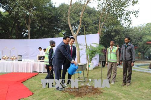 陈红河部长在印度-东盟友好公园植下纪念树。（图片来源：越通社)