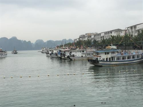 公交船 ——下龙湾的新颖旅游服务。图自越通社