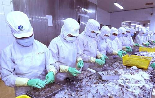 加工虾类。图自越通社