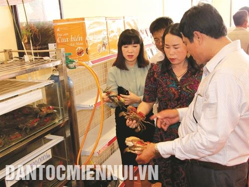 金瓯省南根螃蟹肉质 结实 ，又甜又香，赢得消费者的青睐。记者 金协 摄