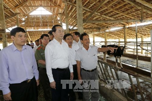 陈大光还探访义同乡一个农户的奶牛养殖模式。