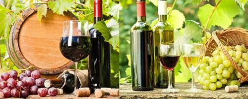 附图。图自因特网 附图。图自因特网