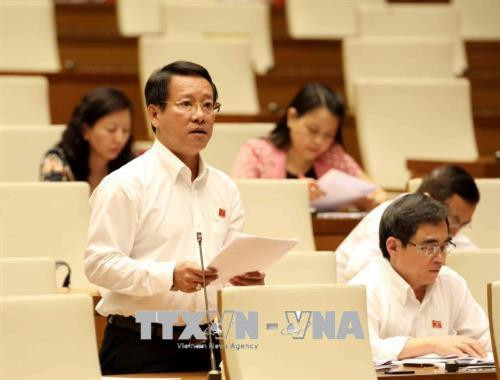 金瓯省国会代表蔡长江。（图片来源：越通社）
