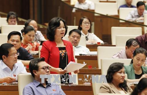 广义省国会代表范氏秋庄。（图片来源：越通社）