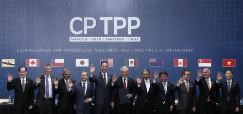 出席《跨太平洋伙伴关系全面进展协定》（CPTPP）签署仪式的代表。（图片来源：越通社）