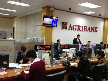 附图：Agribank银行。（图片来源：越通社）