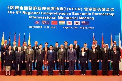 越南出席在中国举行的RCEP部长级会议。图自越通社