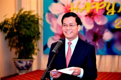 越南外交部副部长何金玉。（图片来源：越共电子报）