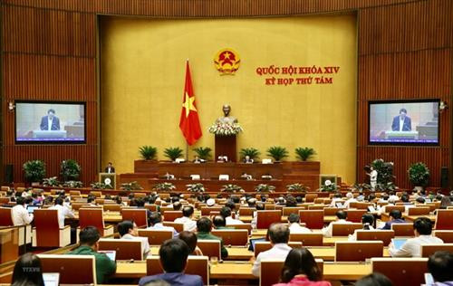 越南第十四届国会第八次会议场景 。图自越通社