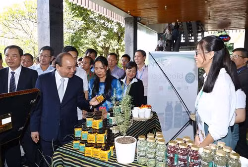 阮春福总理参观玉玲人参展区。越通社记者 统一 摄