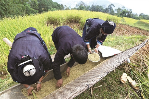 黄树皮县红瑶族人认为，稻谷收获时免不了稻子丢在田里，因此他们要进行祭祀“稻魂”，把以前丢在田里的稻谷的灵魂招回来。
