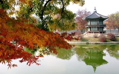 韩国美景。（图片来源：因特网）