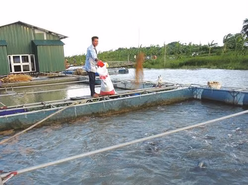 可使用一些微生物制剂来改善养鱼环境，但应认真了解其来源和作用。