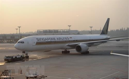 新加坡樟宜机场连续6年获得世界最佳机场大奖。（图片来源： AFP/TTXVN)