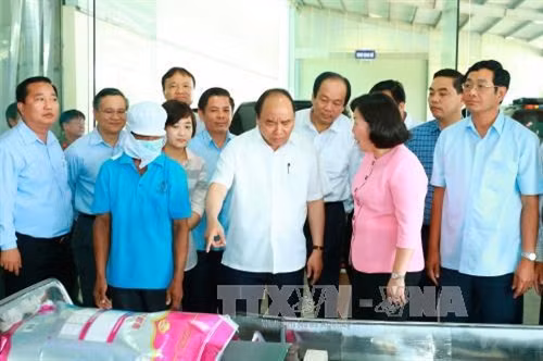 越南政府总理阮春福参观朔庄市诚信粮食加工厂。（图片来源：越通社）