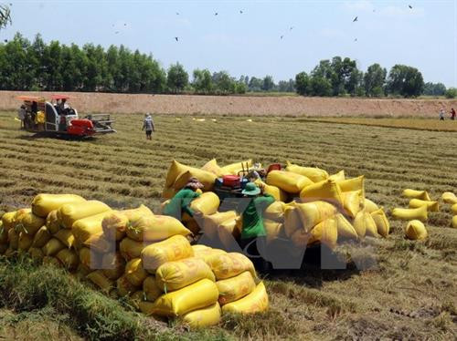 附图。（图片来源：越通社）