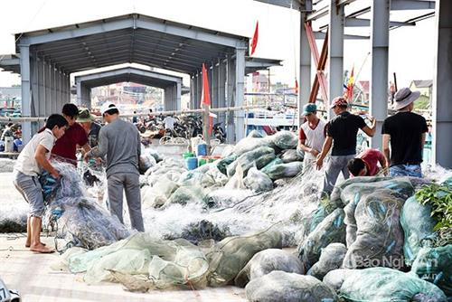 台风过后乂安省渔民准备渔具出海捕捞。（图片来源：因特网）