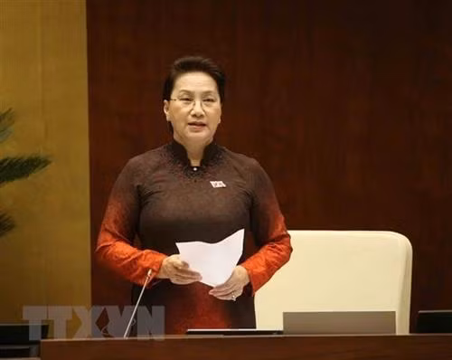 越南国会主席阮氏金银。图自越通社