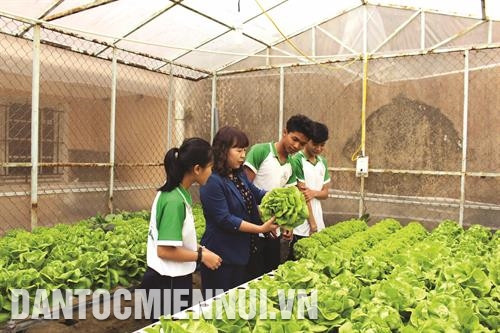 引导林同省少数民族寄宿制学校学生进行高技术蔬菜种植。记者 周国雄 摄 引导林同省少数民族寄宿制学校学生进行高技术蔬菜种植。记者 周国雄 摄