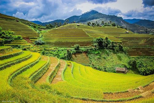 木江界梯田。图自互联网 木江界梯田。图自互联网