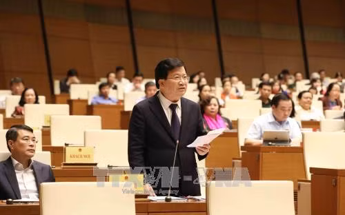 政府副总理郑廷勇发表意见。(图片来源:越通社) 政府副总理郑廷勇发表意见。(图片来源:越通社)