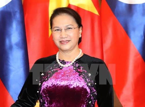 越南国会主席阮氏金银。（图片来源：越通社）