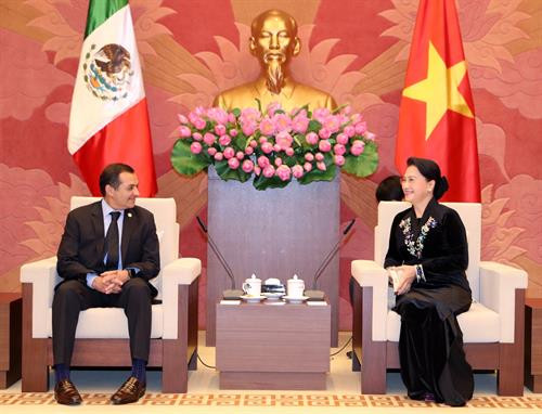 越南国会主席阮氏金银会见墨西哥参议长埃内斯托。（图片来源：越通社）