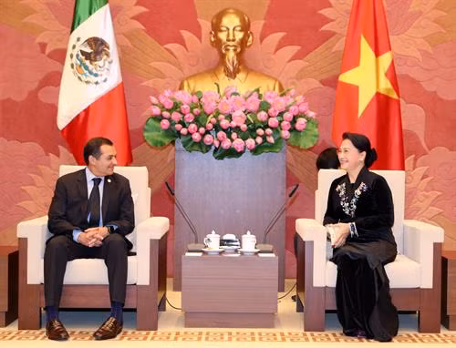 越南国会主席阮氏金银会见墨西哥参议长埃内斯托。(图片来源:越通社) 越南国会主席阮氏金银会见墨西哥参议长埃内斯托。(图片来源:越通社)