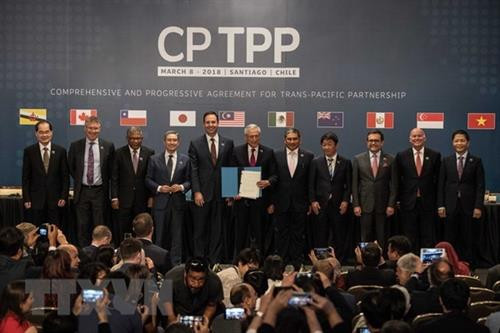 CPTPP成员国代表。图自越通社