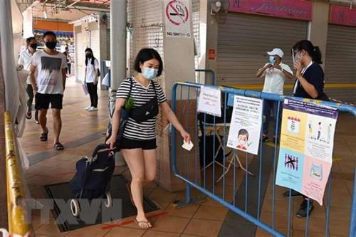 新加坡新增799例新冠肺炎确诊病例。图自越通社 新加坡新增799例新冠肺炎确诊病例。图自越通社