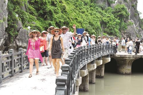 2019年上半年，越南接待外国游客量达900万人次，同比增长9%。图自因特网