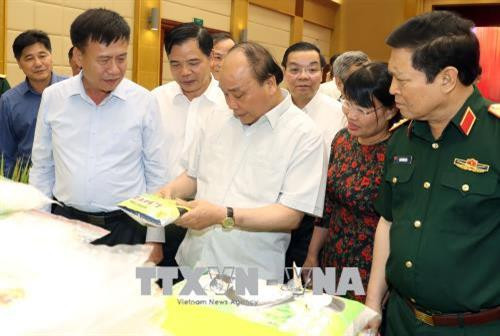 阮春福观察优质农业产品。越通社记者 统一 摄