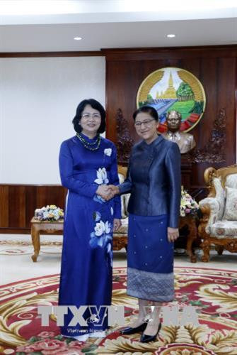 越南国家副主席邓氏玉盛会见老挝国会主席巴妮·雅陶都。越通社记者 范坚 摄