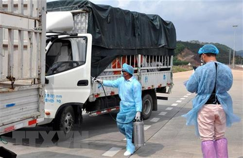 货车办理通关手续之前必须接受消毒。图自越通社