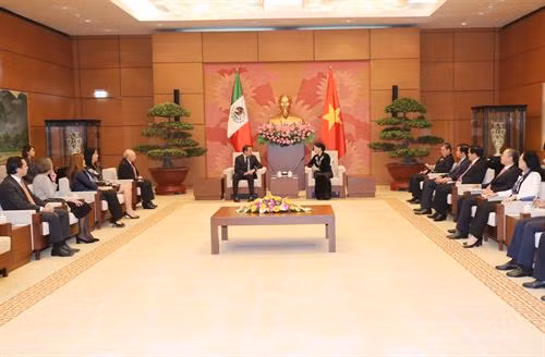 越南国会主席阮氏金银会见墨西哥参议长埃内斯托。(图片来源:越通社) 越南国会主席阮氏金银会见墨西哥参议长埃内斯托。(图片来源:越通社)